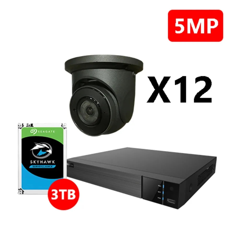 EYEONET 16CH 5MP BUILT-IN POE IP EYEBALL PACKAGE (KIT-NV63216-16P-N2-3T+IP619E5G-28-S3X12)