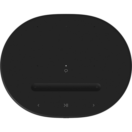 Move 2 Portable Smart Speaker